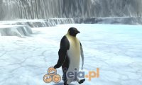 Najmniejszy pingwin