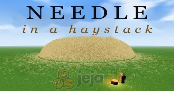 Igła w stogu siana