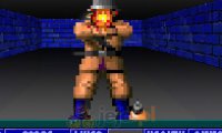 Wolfenstein 3D