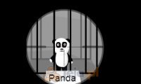 Panda snajper