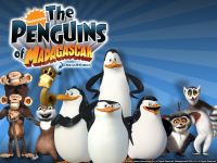 Fani pingwinów z madagaskaru