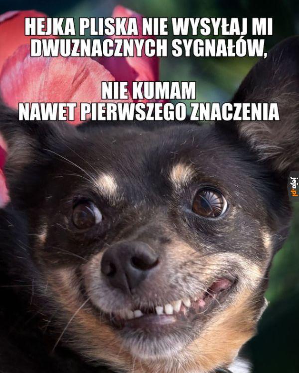 Lubię prosty przekaz