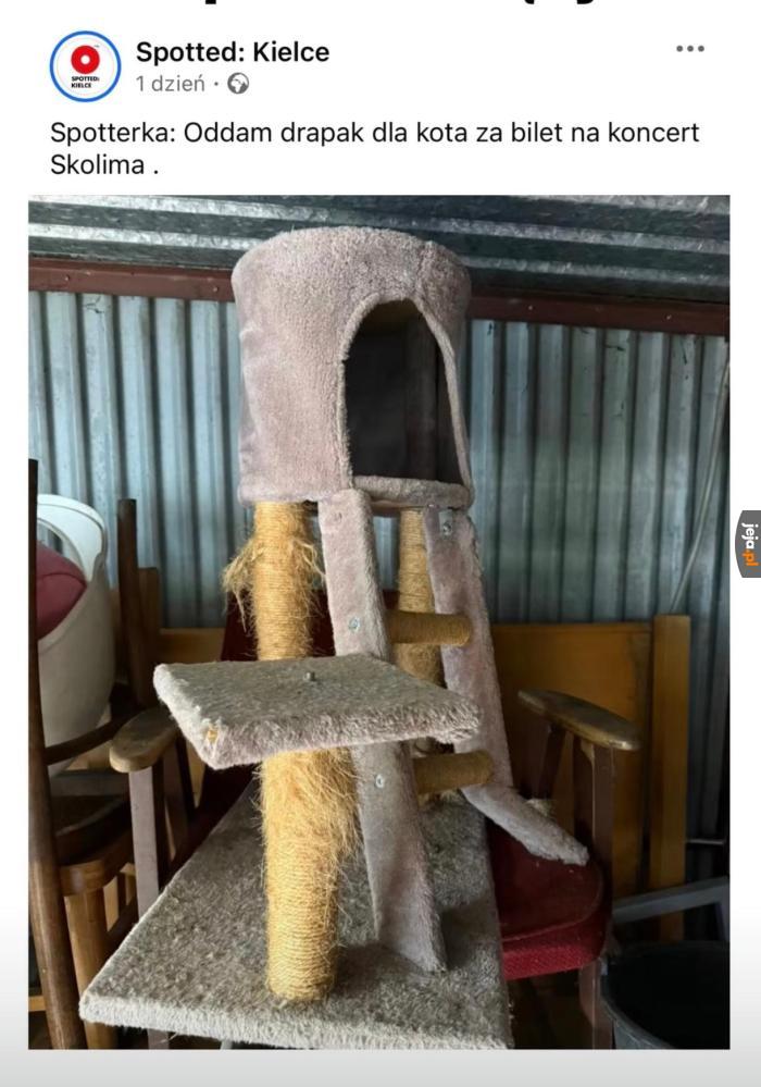 Rozsądna oferta