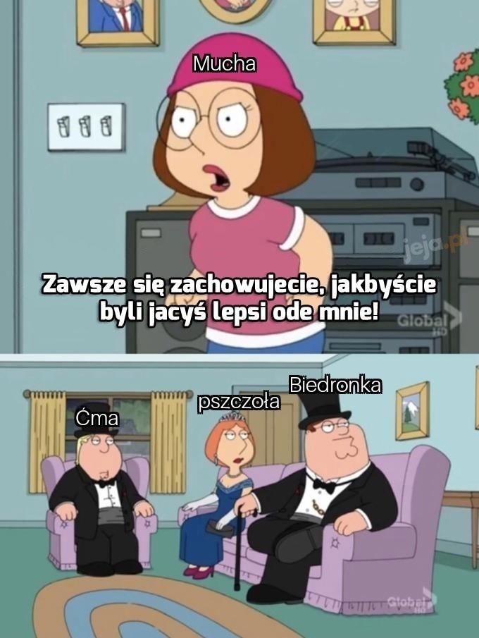 Mali goście w domu