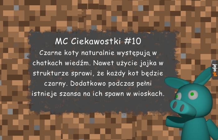 Minecraftowe Ciekawostki #10