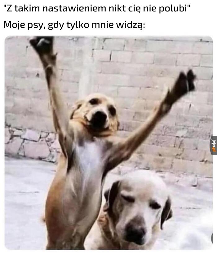 Czyżby?