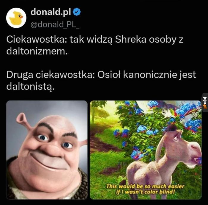 To wiele tłumaczy