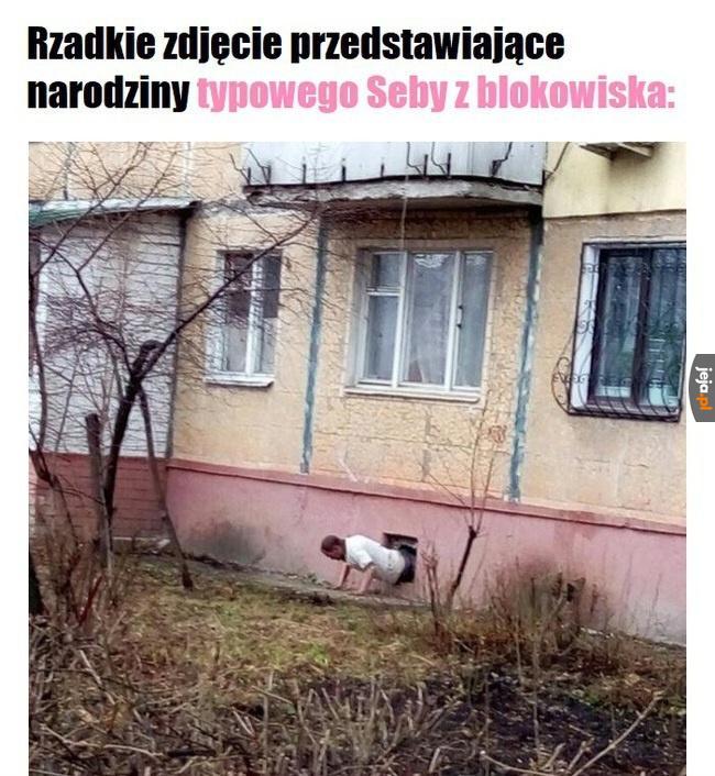 Narodziny Wenus - edycja Radom 2007