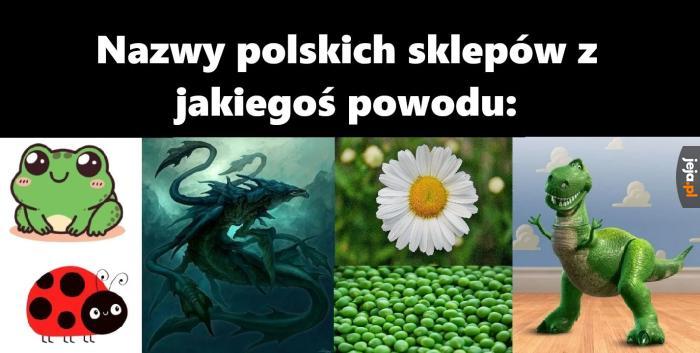 Coś tu nie pasuje hmm
