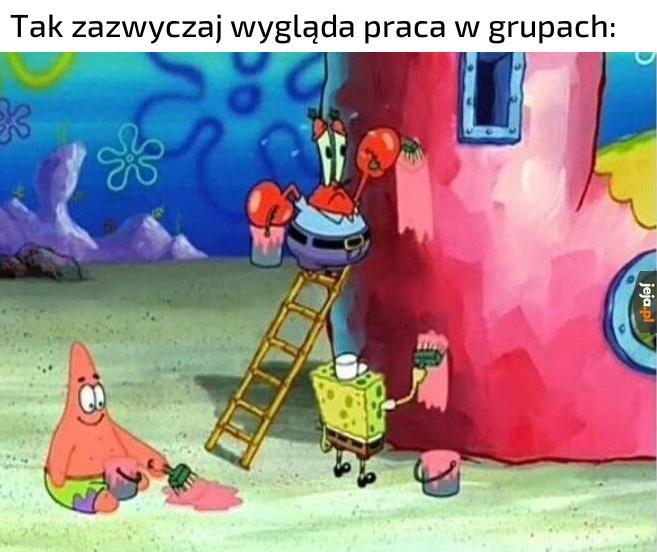 Którym jesteś?