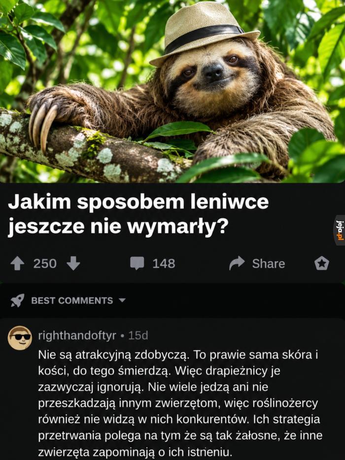 To wiele wyjaśnia