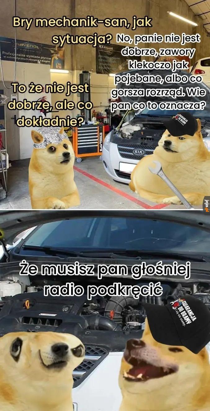 Złoty środek
