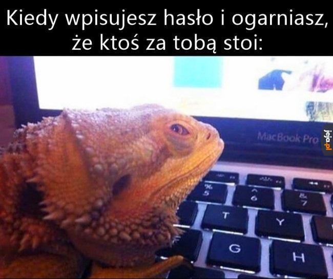 Mogę w czymś pomóc?
