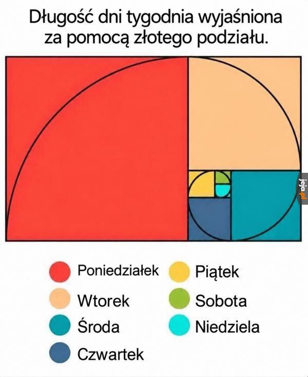 Tak to właśnie wygląda