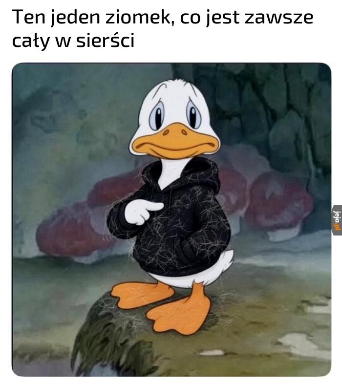 Cena miłości