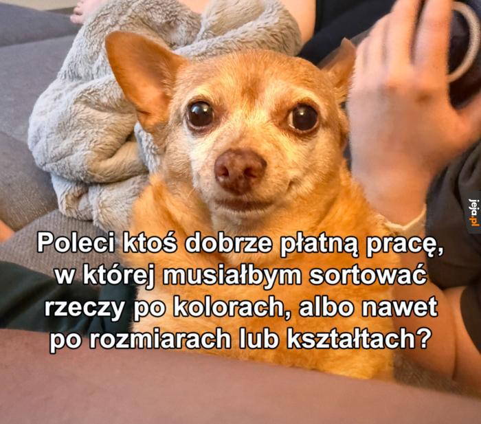 Ale max 1 z tych rzeczy naraz