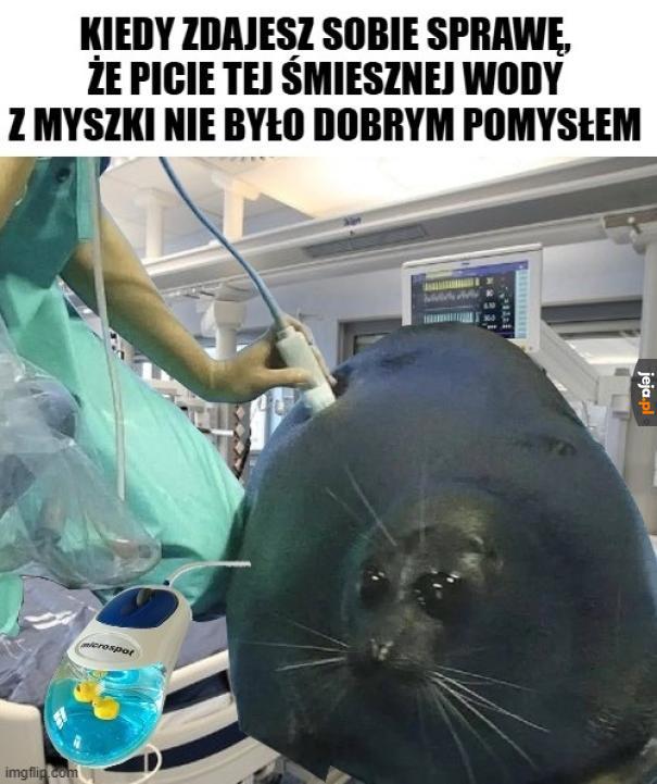No to się porobiło
