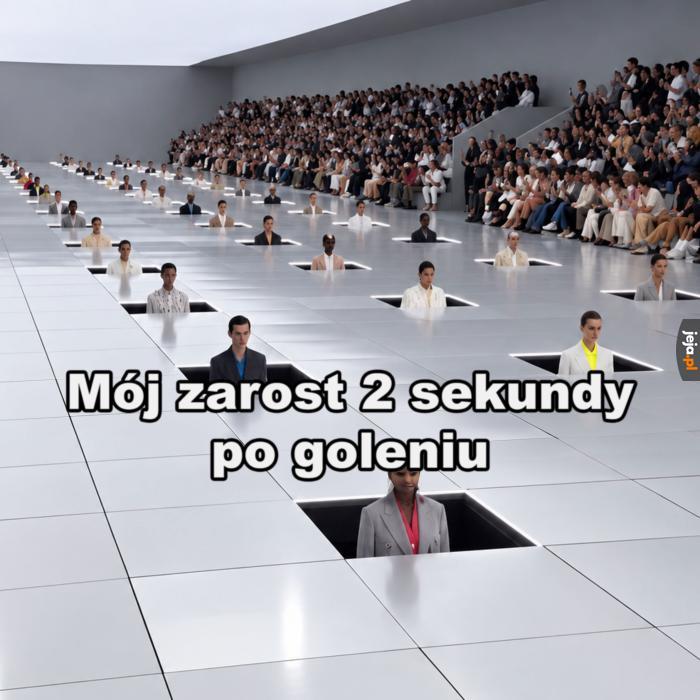 Witam