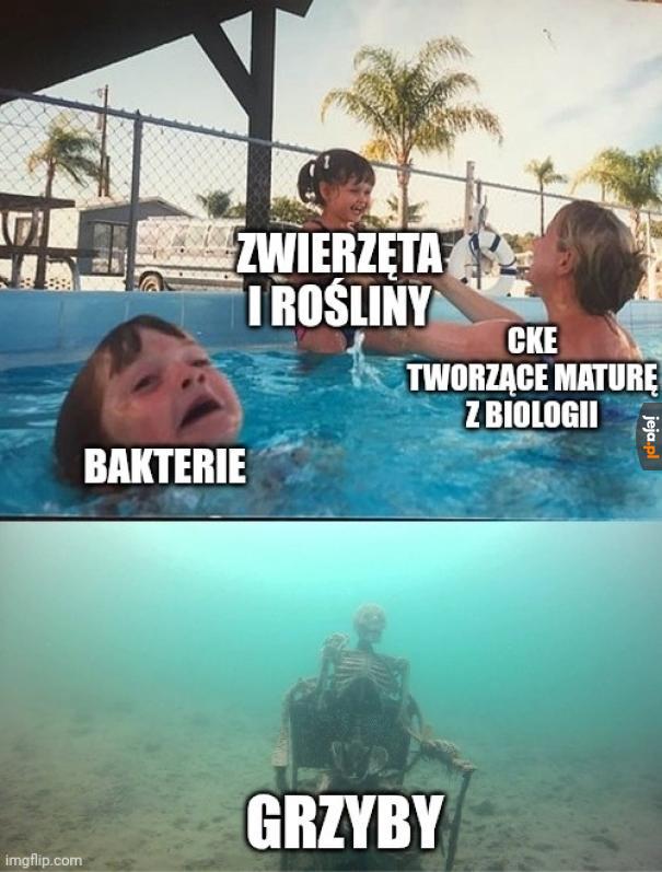 O protistach i archeonach nie wspominając