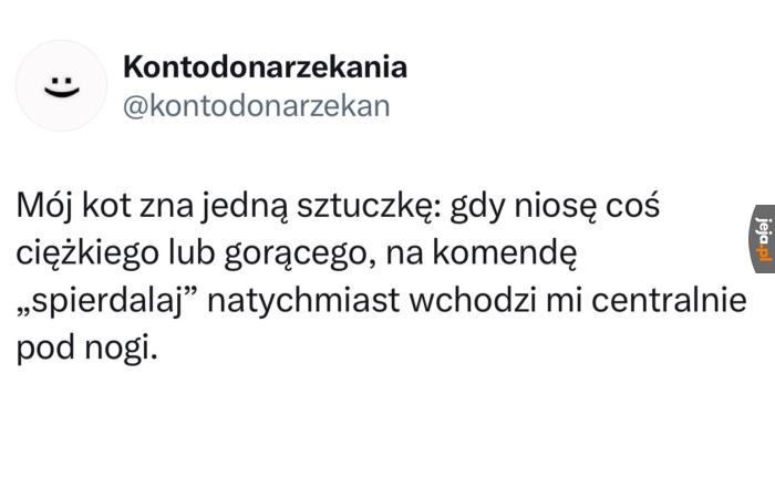 To były lata treningu, żeby to osiągnąć