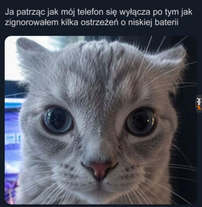 Winić mogę tylko siebie