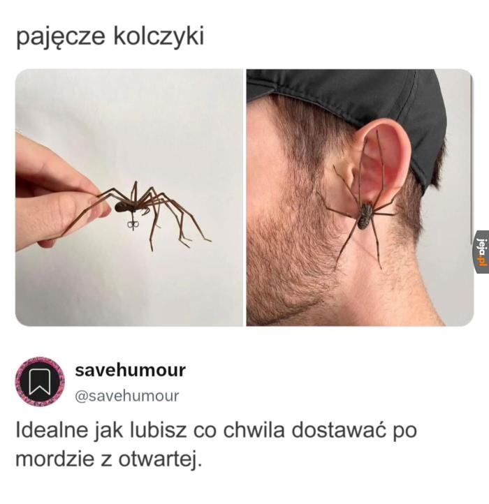 No niektórzy podobną lubią