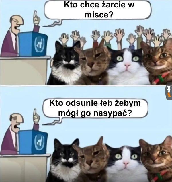 Za dużo byś chciał chłopie