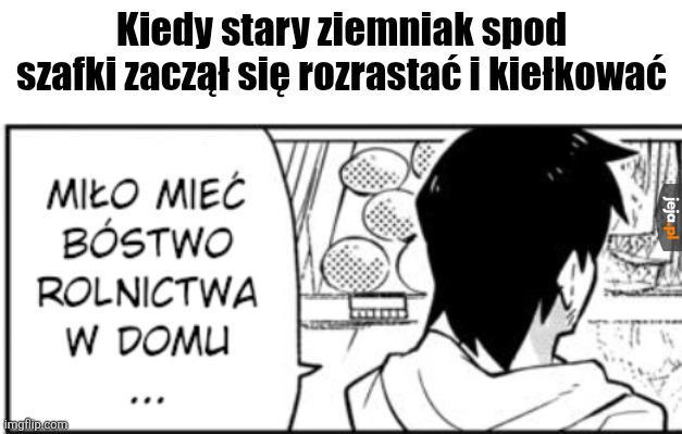 Ach te ziemniaki