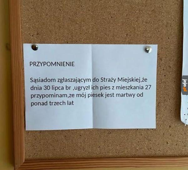 Piesek z zaświatów