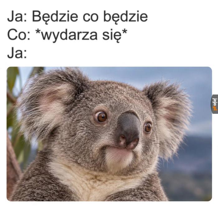 Tego się nie spodziewałem