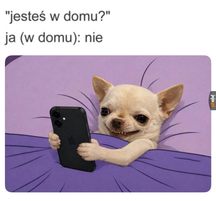 Nie słyszałem domofonu (słyszałem)