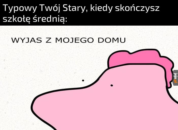 Praca albo Studia i bez dyskusji