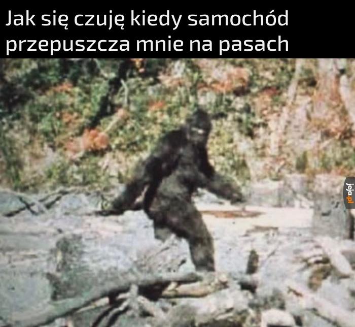 Już mnie nie ma, kochany