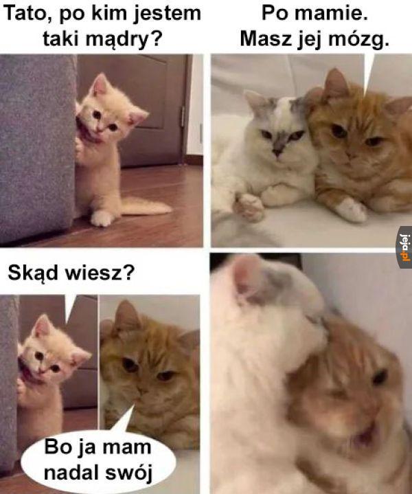 Śpisz na kanapie!