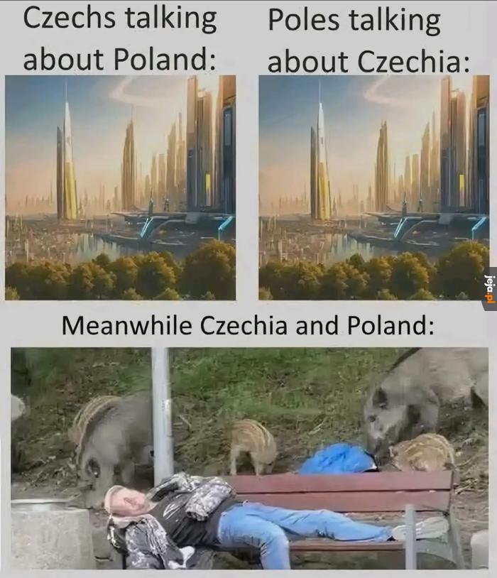 Lubimy się