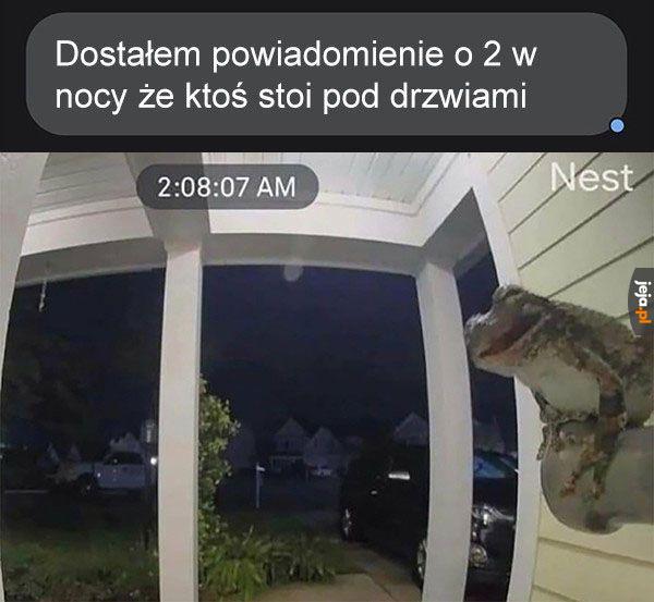 Witam