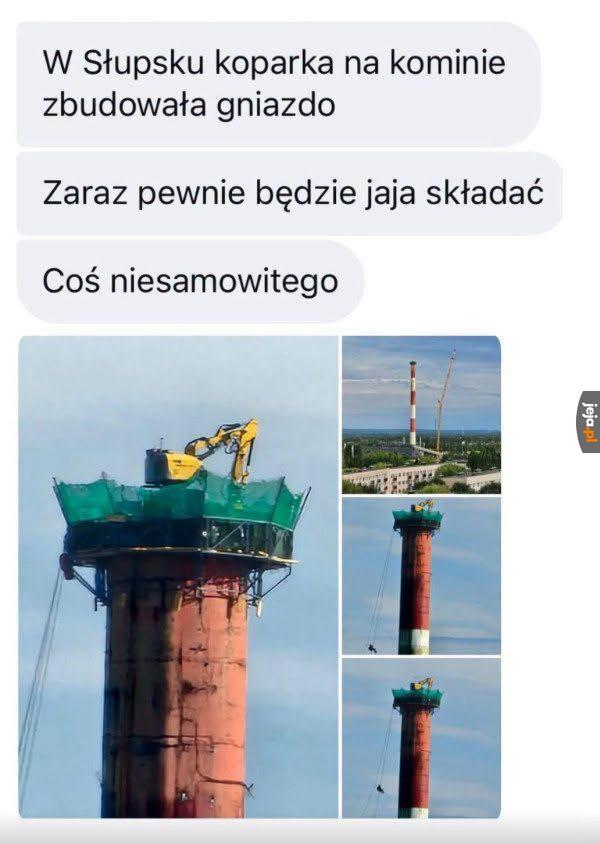 Wzruszyłem się