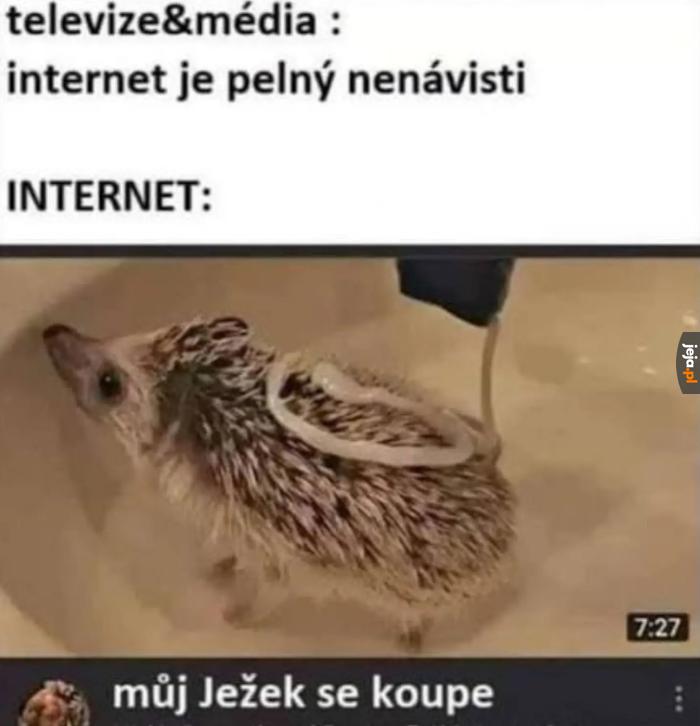 Ważne media