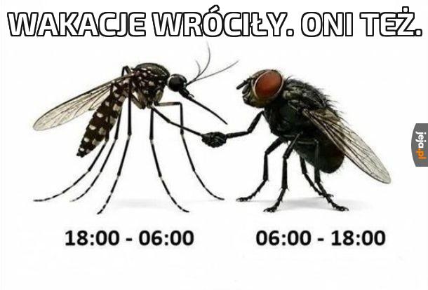 Dozgonna nienawiść