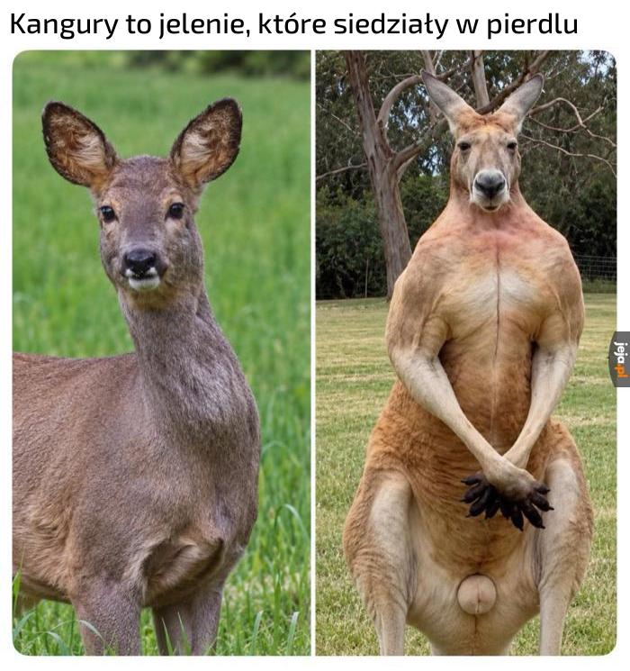 Fakt naukowy