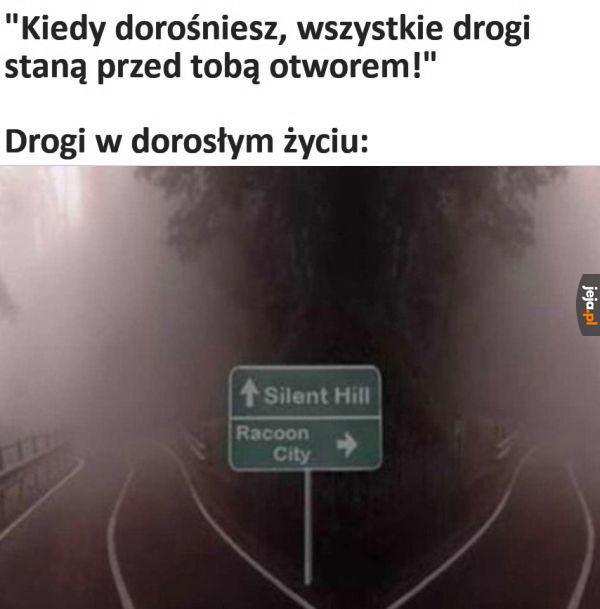 Ale wybór
