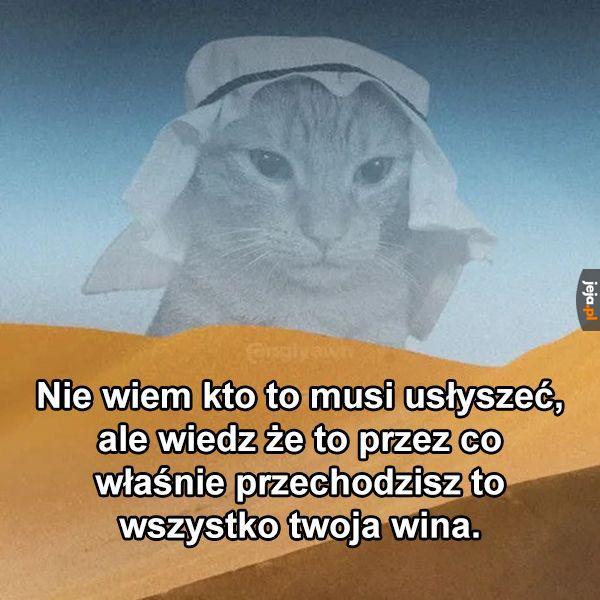 Nie ma za co