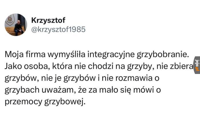 Grzyby to nie moja bajka