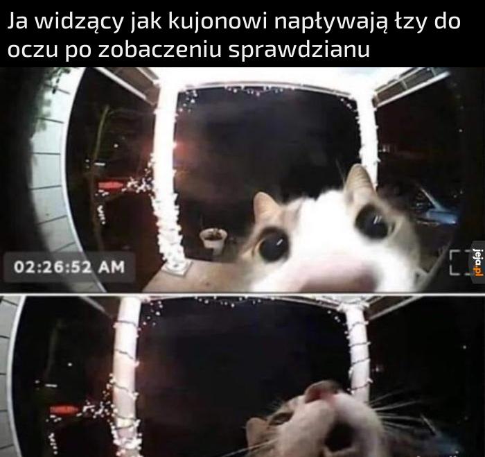 Wiem, że wakacje, ale proszę, nie zabijacie mnie