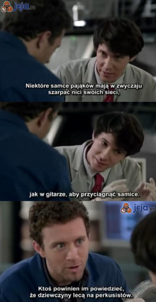 Pajęczy podryw