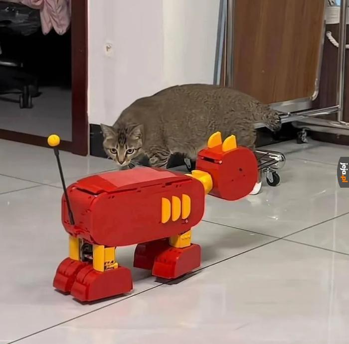 Tom