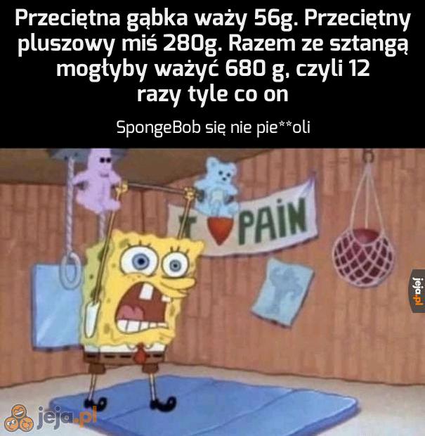 SpongeBob to ma jednak parę w łapach