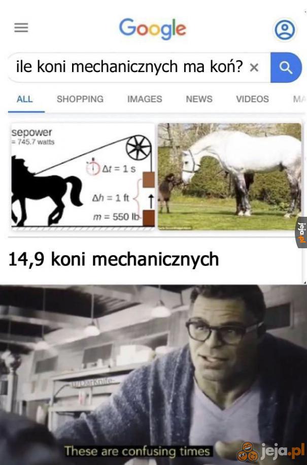 Ile koni ma koń?