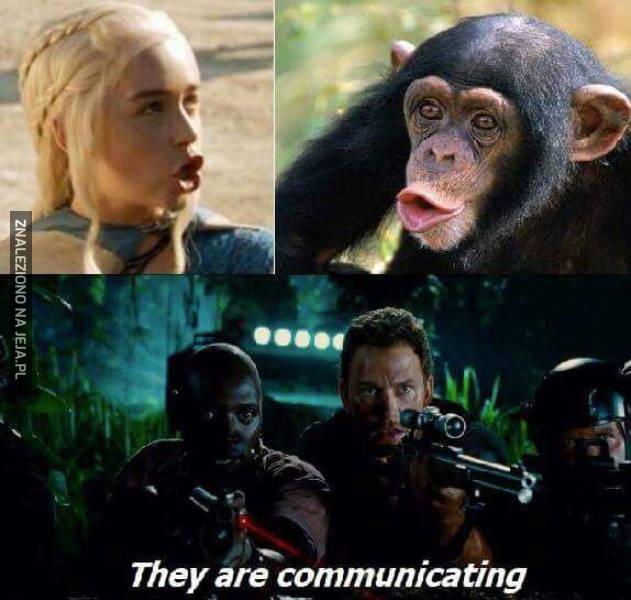 Oni się komunikują!