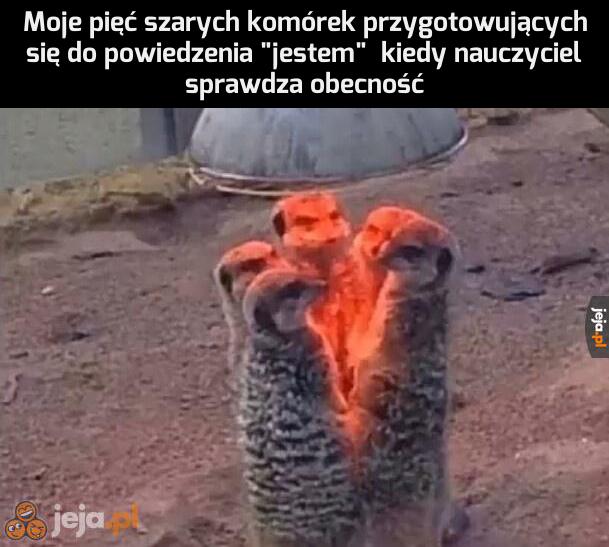 Niedługo ja